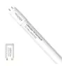 Noxion LED Lysrør T8 Avant (EM/Mains) Standard Output 15W 1800lm - 830 Varm Hvid | 120cm - Erstatter 36W